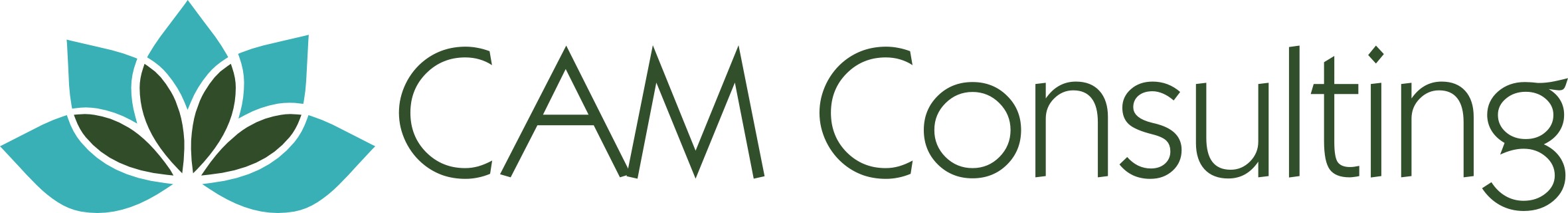 CAM Consulting